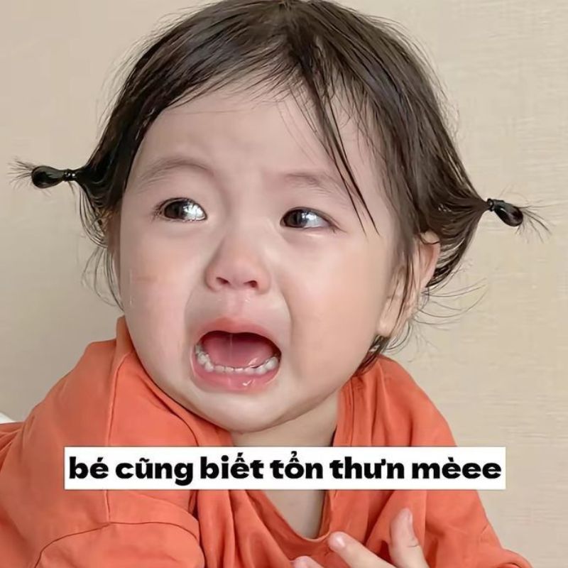 59+ Ảnh meme dỗi cute, đáng yêu, hài hước cho hội hay làm nũng 11 meme dỗi