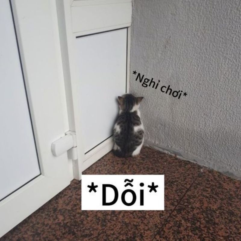 59+ Ảnh meme dỗi cute, đáng yêu, hài hước cho hội hay làm nũng 25 meme dỗi