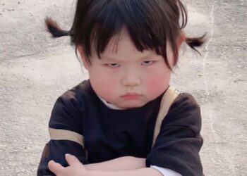 meme dỗi