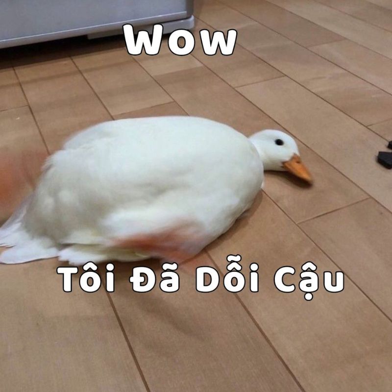 59+ Ảnh meme dỗi cute, đáng yêu, hài hước cho hội hay làm nũng 8 Meme giận dỗi cute