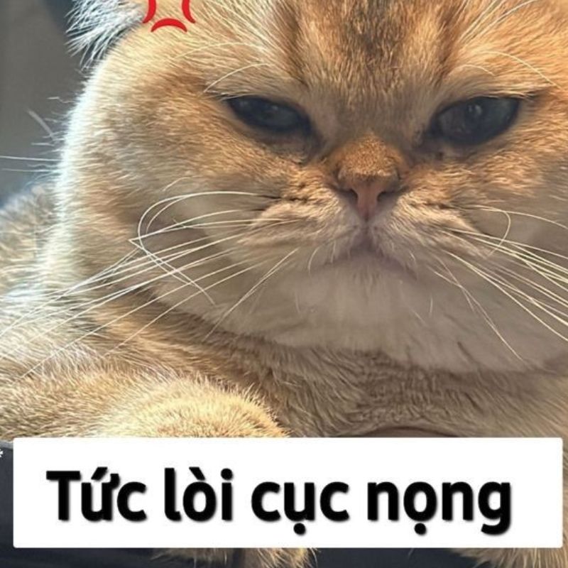 59+ Ảnh meme dỗi cute, đáng yêu, hài hước cho hội hay làm nũng 9 Meme giận dỗi cute, đáng yêu