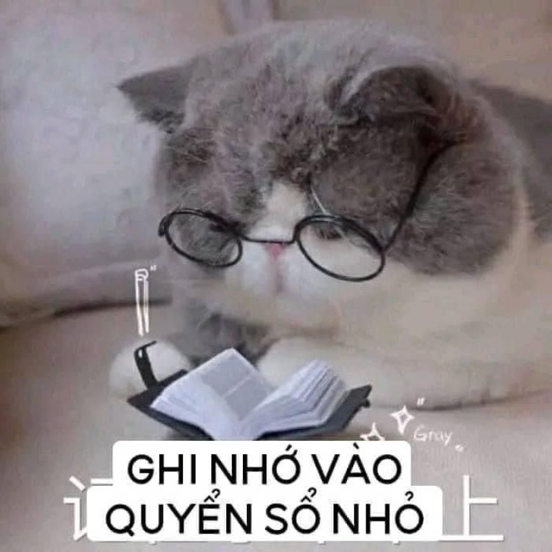 Meme ghi chép là dạng meme dùng hình ảnh/tình huống “mở vở ra ghi”