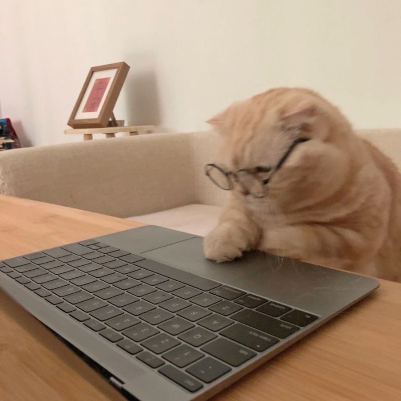 "Gặp thầy rồi, ghi lại liền!"