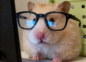 Tổng hợp 99+ meme ghi chép hài hước cho hội mọt sách hay quên