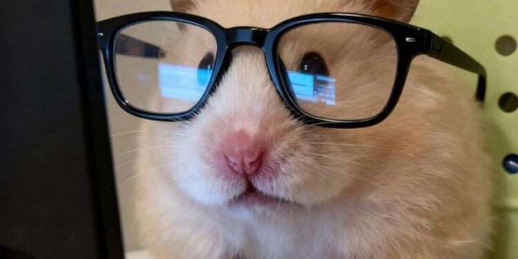 Tổng hợp 99+ meme ghi chép hài hước cho hội mọt sách hay quên