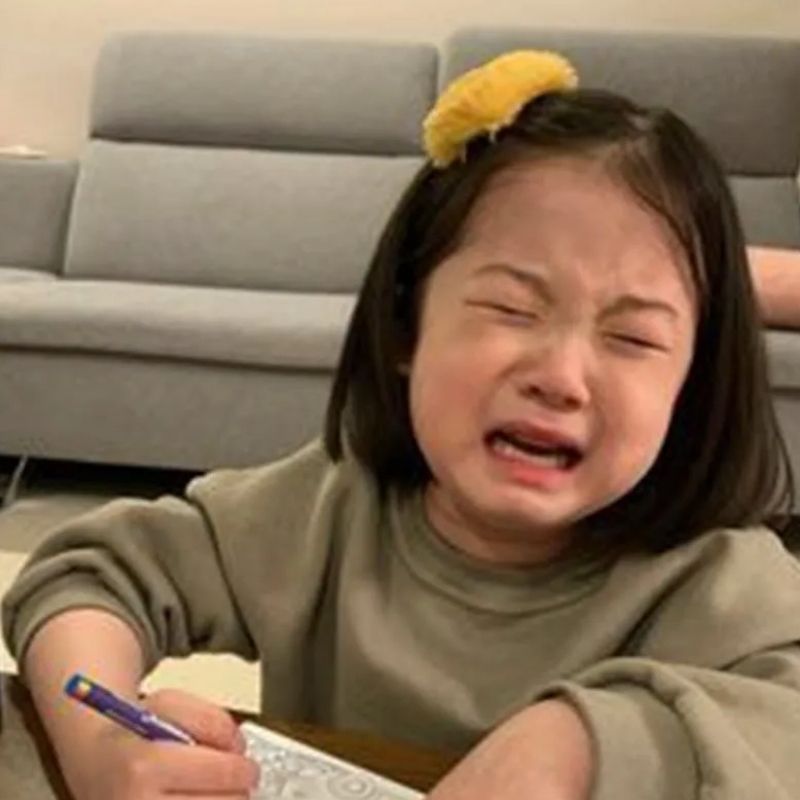 meme học bài khóc