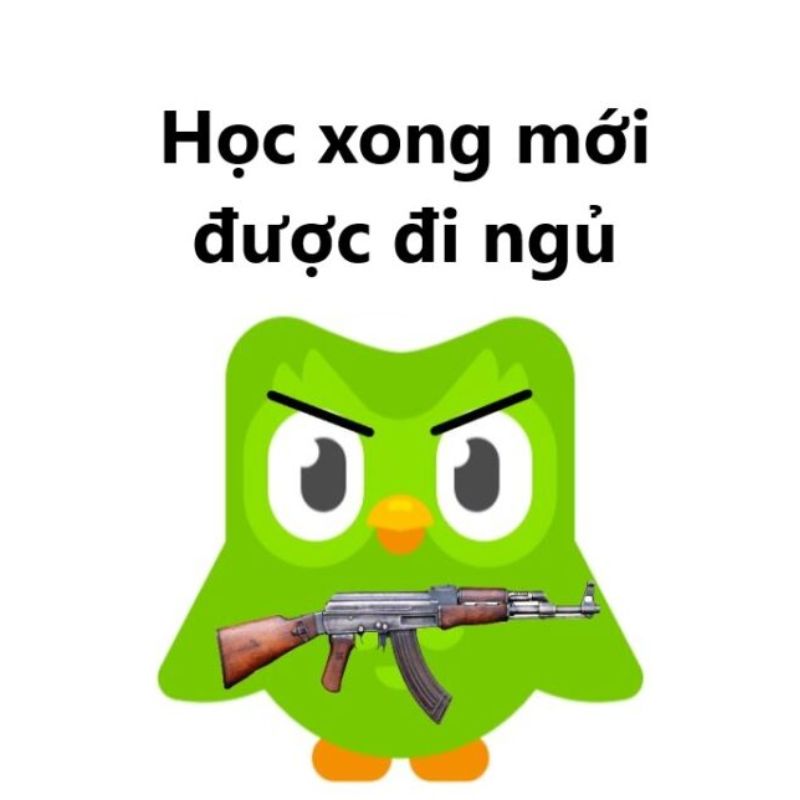 meme học bài