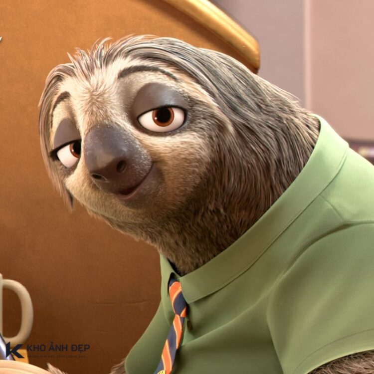 meme lười zootopia