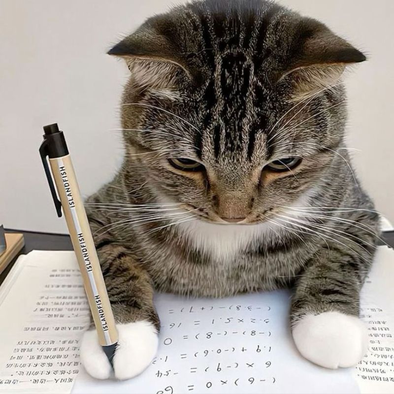 mèo ghi chép học bài chăm chỉ