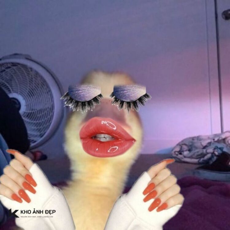 99+ Ảnh meme slay vui nhộn, lầy lội, hot nhất mạng xã hội 1 meme slay