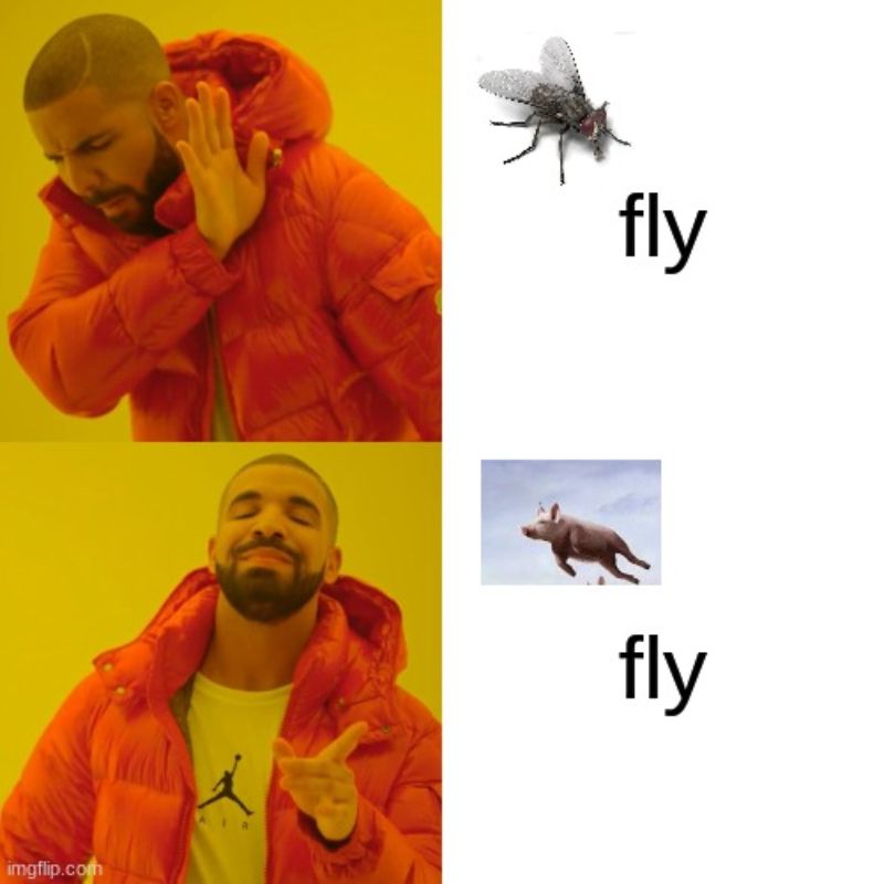 Drake Hotline Bling Meme là gì? Gợi ý meme hài hước nhất hiện tại 22 ruồi fly no, heo bay yes