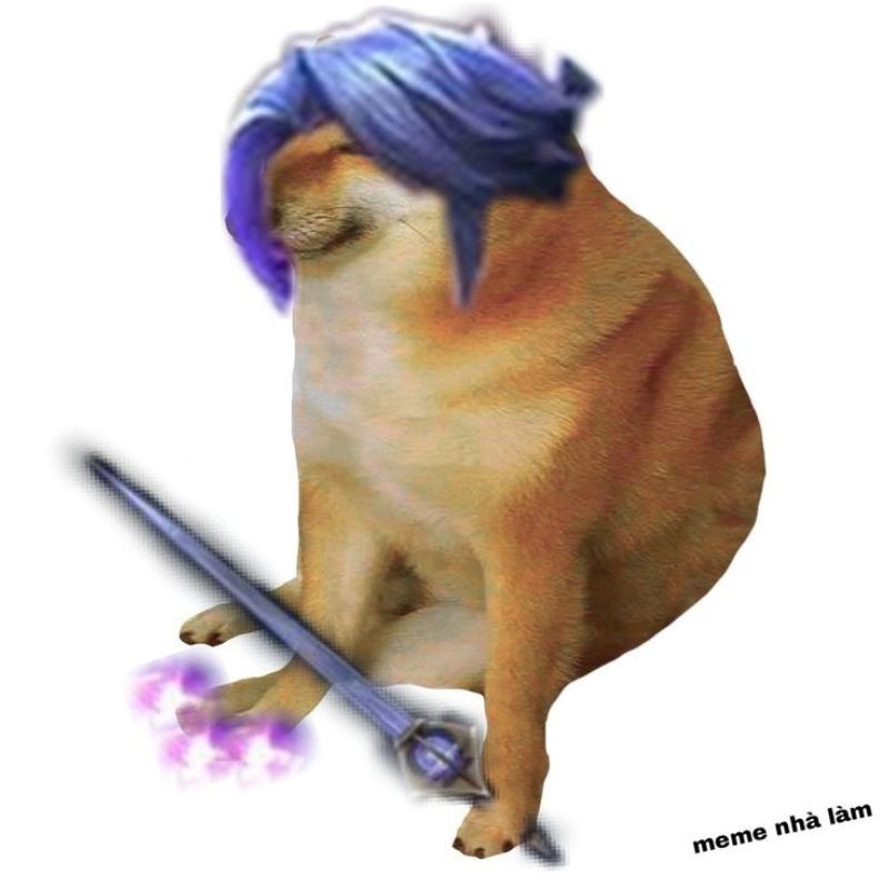 Meme chó Florentino