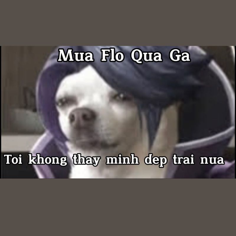 Meme mua Flo qua ga