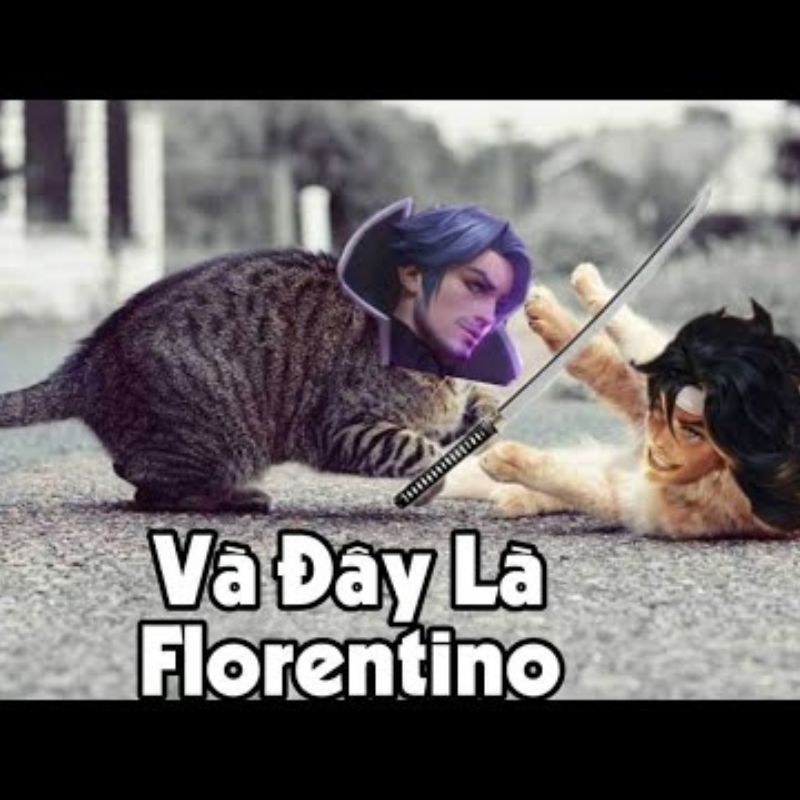 Meme mèo đại chiến Florentino