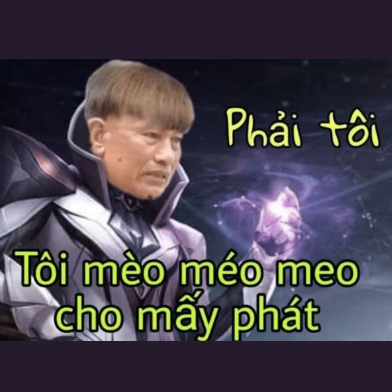 Meme flo phải tôi tôi mèo méo meo