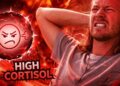 meme high cortisol
