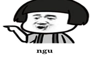 meme chửi