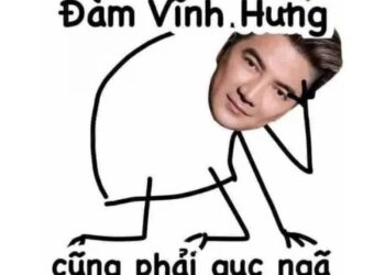 Đàm Vĩnh Hưng meme