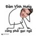 Đàm Vĩnh Hưng meme