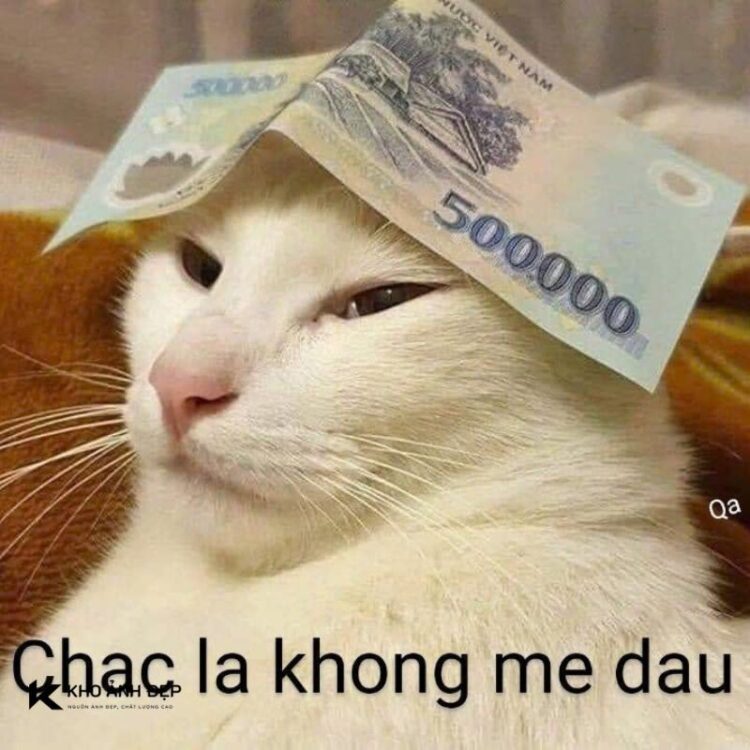 meme tiền