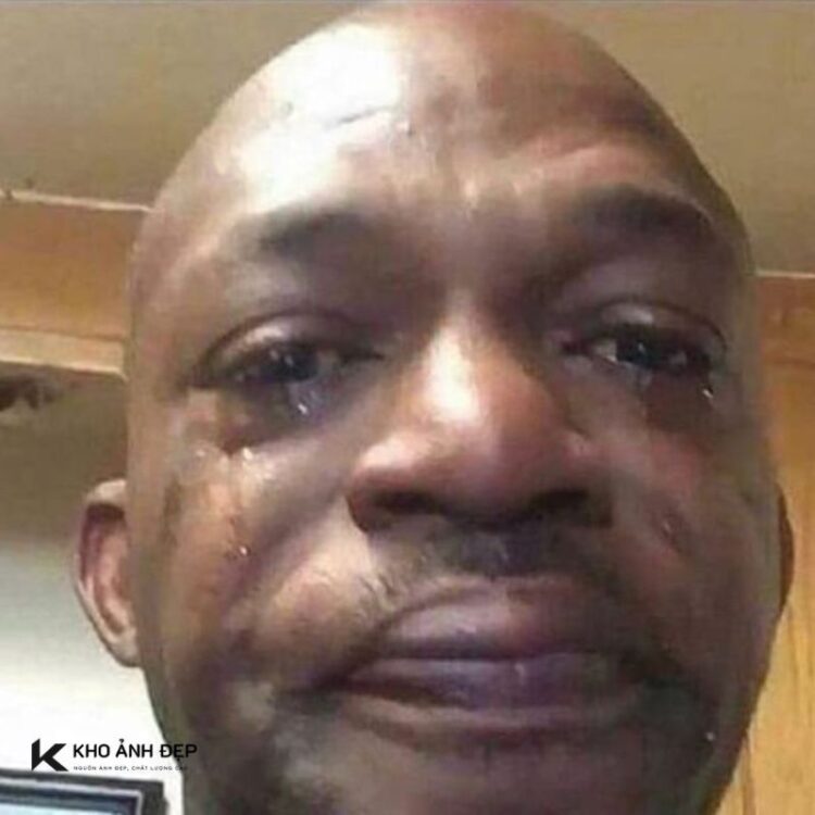 99+ sad meme tâm trạng thể hiện nỗi buồn bằng cách hài hước 1 sad meme