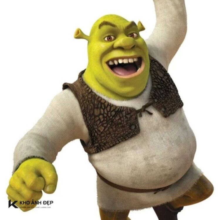 99+ ảnh Shrek meme tấu hài bá cháy, cực hài hước gây bão mạng