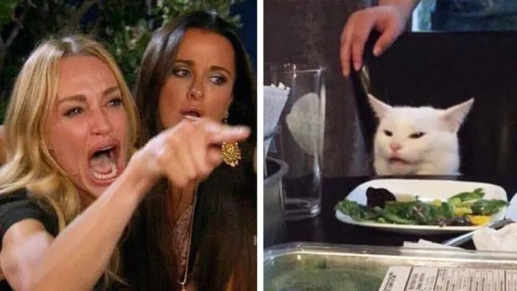 Giải mã meme woman yelling at a cat nổi tiếng 2 woman yelling at a cat là gì