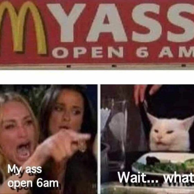 Giải mã meme woman yelling at a cat nổi tiếng 11 my ass open 6am