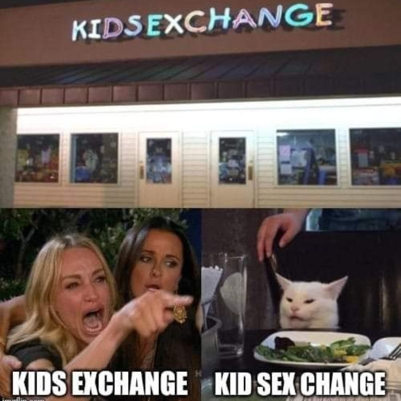 Giải mã meme woman yelling at a cat nổi tiếng 12 kids exchange