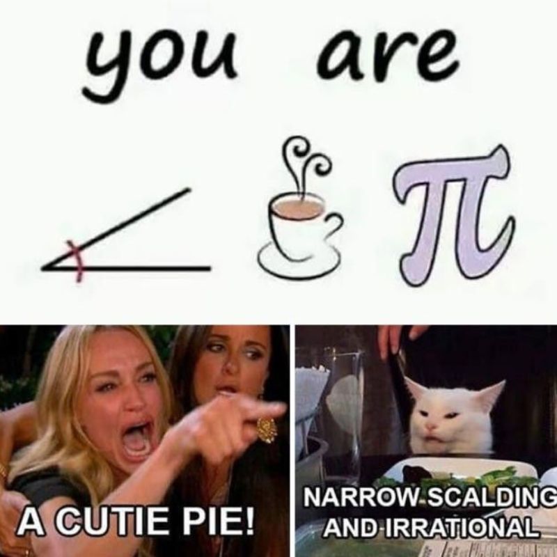 Giải mã meme woman yelling at a cat nổi tiếng 14 a cutie pie!