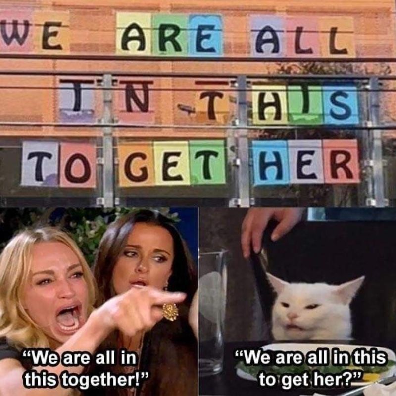 Giải mã meme woman yelling at a cat nổi tiếng 15 we are all in this together