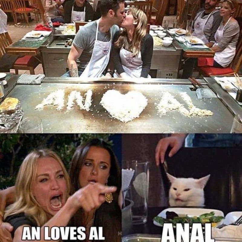 Giải mã meme woman yelling at a cat nổi tiếng 17 an loves al