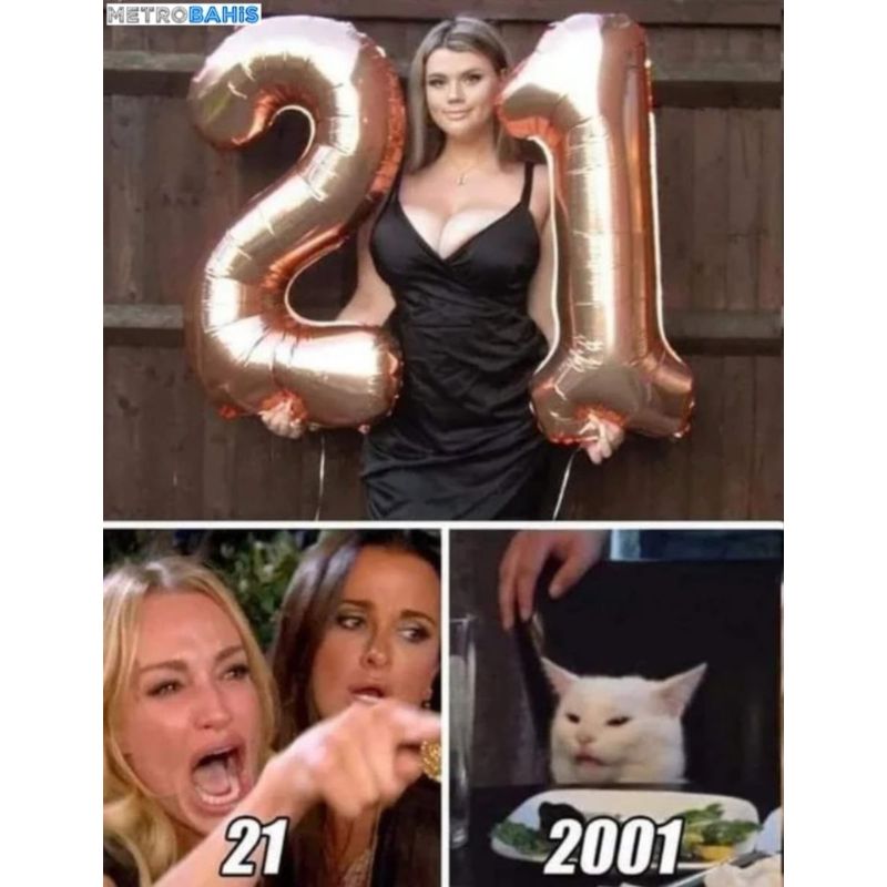 Giải mã meme woman yelling at a cat nổi tiếng 18 2001