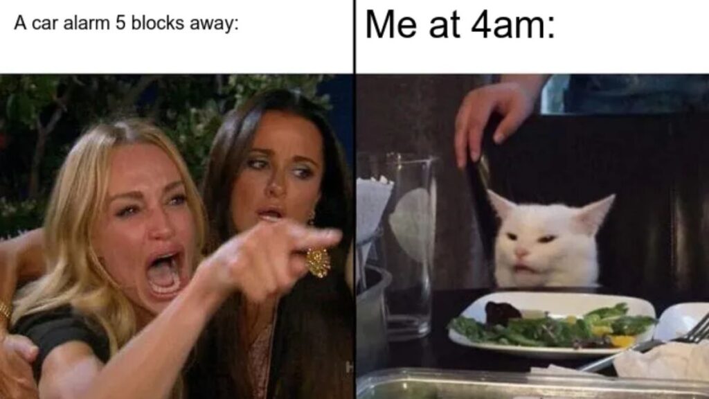 Giải mã meme woman yelling at a cat nổi tiếng 3 nguồn gốc woman yelling at a cat