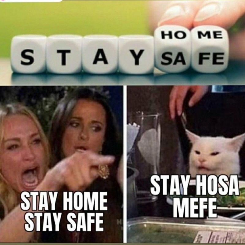 Giải mã meme woman yelling at a cat nổi tiếng 23 stay home stay safe