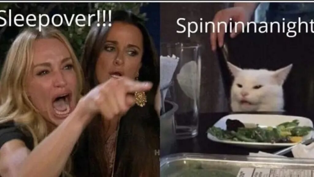 Giải mã meme woman yelling at a cat nổi tiếng 4 ý nghĩa woman yelling at a cat