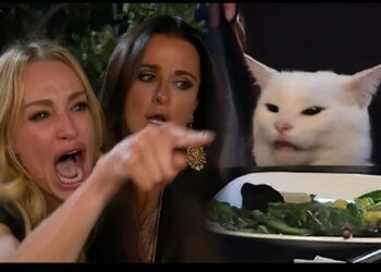 Giải mã meme woman yelling at a cat nổi tiếng 48 woman yelling at a cat