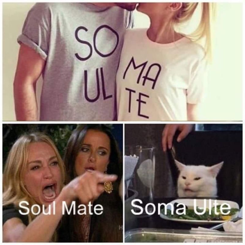 Giải mã meme woman yelling at a cat nổi tiếng 7 soulmate