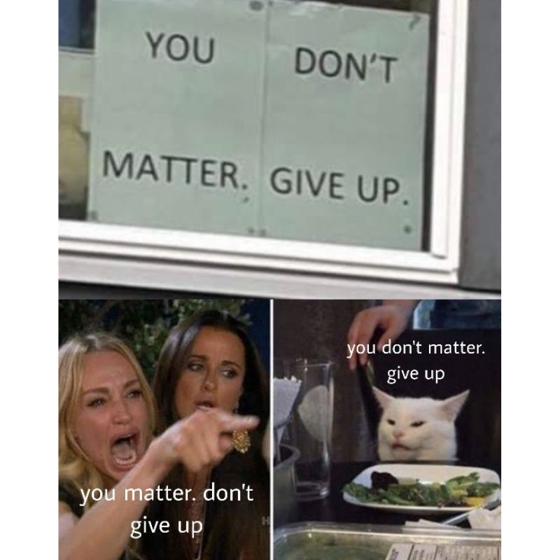 Giải mã meme woman yelling at a cat nổi tiếng 8 you dont matter give up