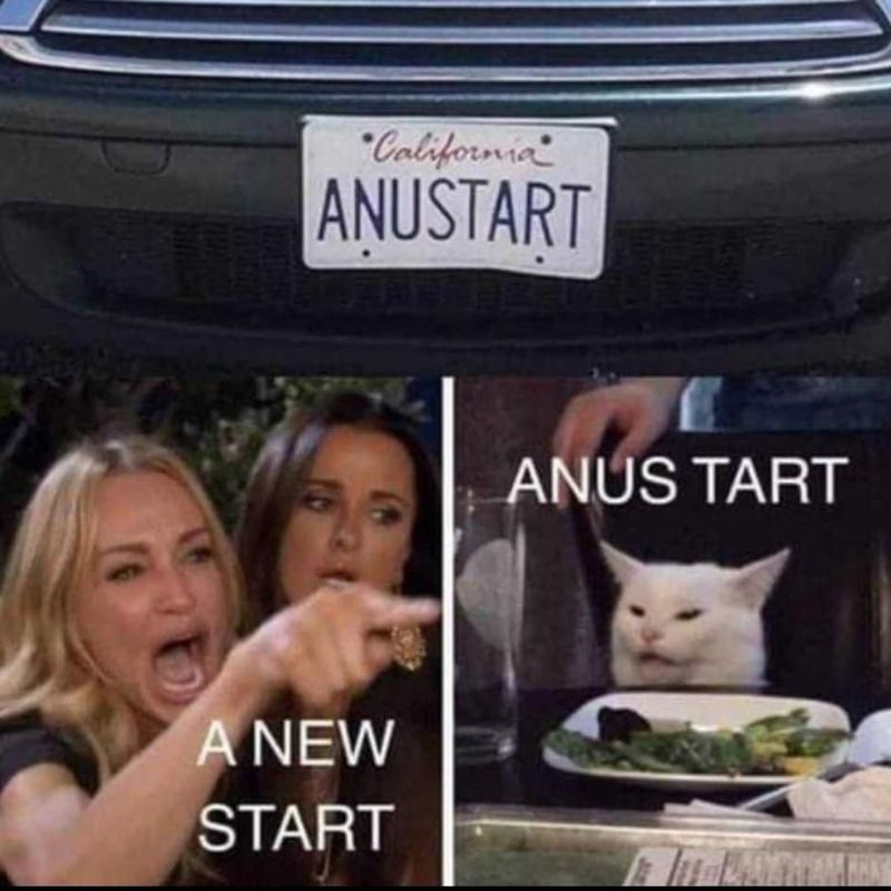 Giải mã meme woman yelling at a cat nổi tiếng 9 a new start