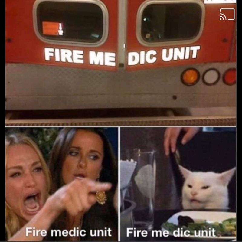 Giải mã meme woman yelling at a cat nổi tiếng 10 fire me die unit