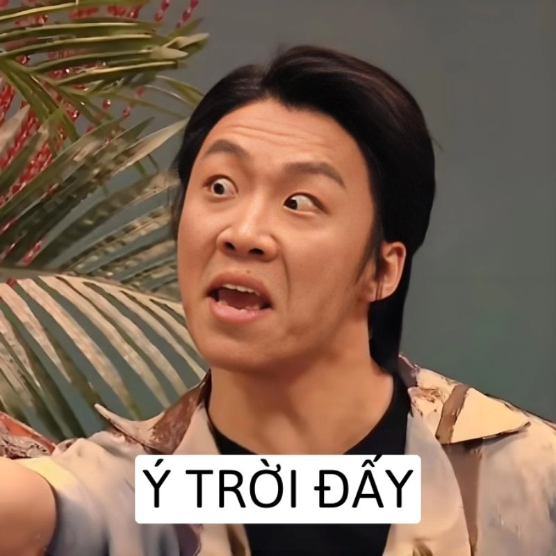 Tổng hợp 100+ ảnh ý trời meme hài hước được yêu thích nhất 3 Ý trời meme hài hước