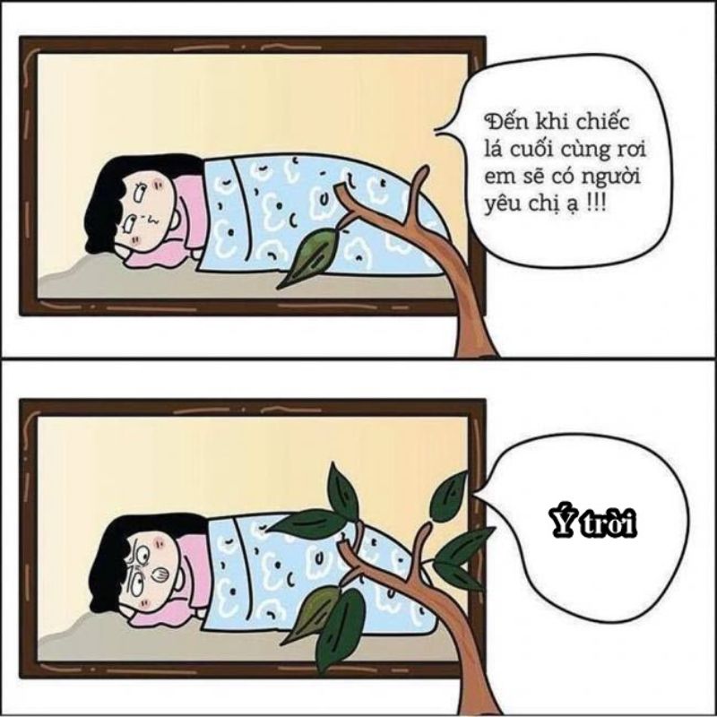 Tổng hợp 100+ ảnh ý trời meme hài hước được yêu thích nhất 21 Ý trời meme hay dùng trên Facebook