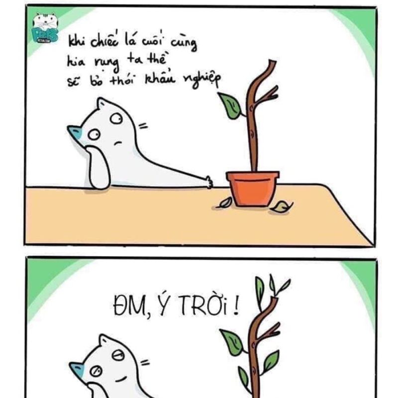 Tổng hợp 100+ ảnh ý trời meme hài hước được yêu thích nhất 23 Ý trời meme hài hước trên mạng xã hội