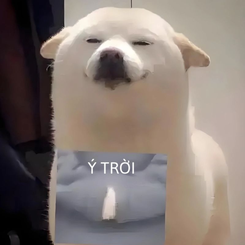 Tổng hợp 100+ ảnh ý trời meme hài hước được yêu thích nhất 8 Ý trời meme dễ thương