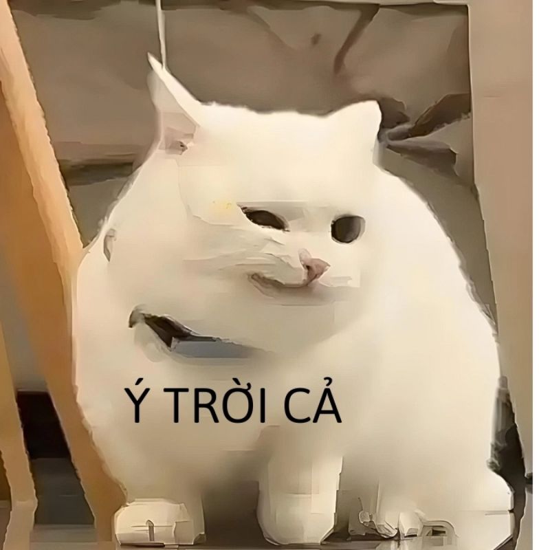 Tổng hợp 100+ ảnh ý trời meme hài hước được yêu thích nhất 9 Ý trời meme cute